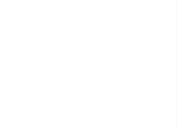 BRANDS